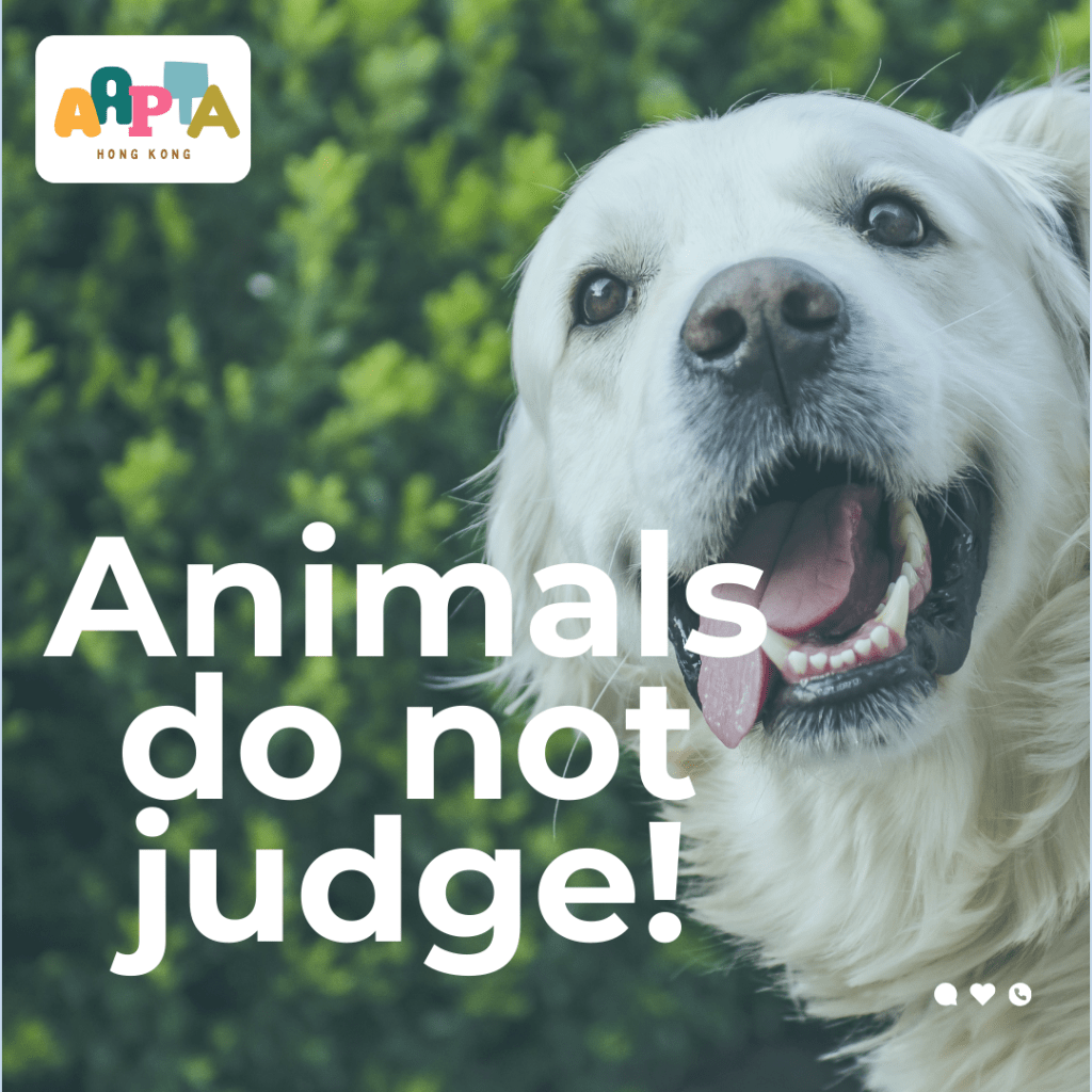 aniamls do not judge